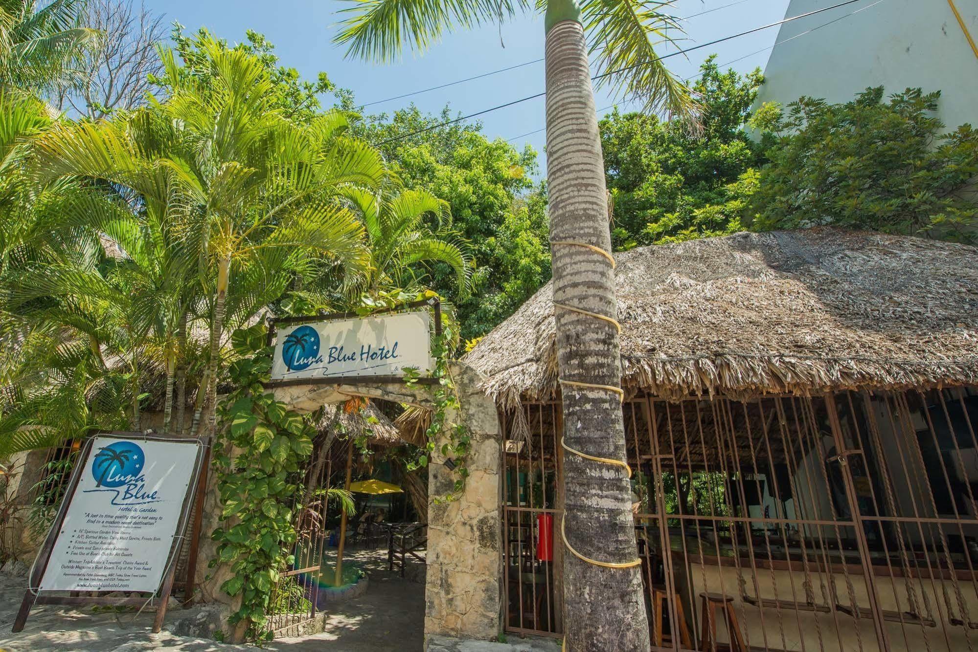Luna Blue Hotel 普拉亚卡门 外观 照片
